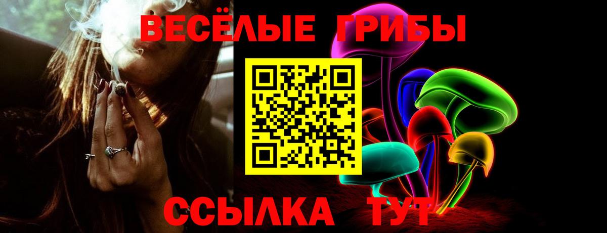 Сланцы  Псилоцибиновые грибы мицелий  Псилоцибиновые грибы Psilocybe  Вход с VPN 